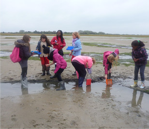 Herbstreise auf die Nordseeinsel Borkum